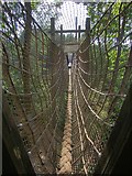 TR1763 : Rope walk over bear enclosure at Wildwood Discovery Park by Oast House Archive