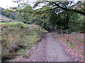 Cyffordd o lwybrau ceffyl / A junction of bridleways