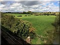 View from a Didcot-Worcester train - Fields near Lower Ridings Farm