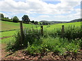 Disused gate