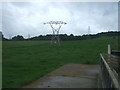 Grazing and pylons near Langlee