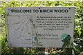 Welcome to Birch Wood