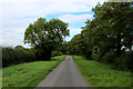 The Avenue heading North