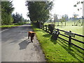 Cavan Road, Shannaragh