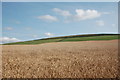 View towards Deskie Wood