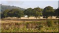 Fields, Glendoick