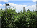 The beginning of a footpath near Blaisdon