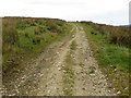 Farm track giving access to Larranges