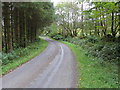 Road to Nether Craigenputtock