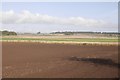 Seedbed outside Arbroath