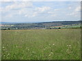 View towards Long Compton