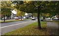 Autumn colours along Narborough Road South