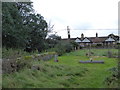 St Peter, Ickburgh: churchyard (C)