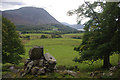 Grazing land in Lorton Vale