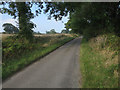 Road past Primrose Farm