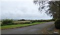 Long Orchard, Bere Alston, and adjacent field