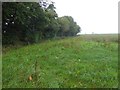 Hangingcliff Wood