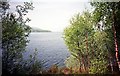 NN4808 : Loch Katrine by norman griffin