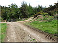 J1311 : Farm track crossing the forestry road at Mullaghattin by Eric Jones