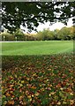 Flood relief basin in Glenfield