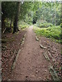 Granite Tramway Near Bovey Tracey