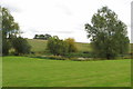 Pond at Newton Park