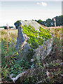 NJ7719 : Broomend of Crichie Stone Circle (9) by Anne Burgess
