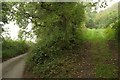 Field entrance near Middle Washbourne