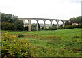 Cannington Viaduct