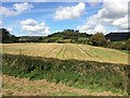 View towards Downham Hill