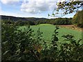 Dursley hidden below Stinchcombe Hill