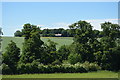 Wind Sock, Airfield on the edge of Saffron Walden