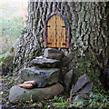 Fairy doors on a tree at Gala Hill