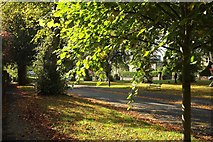 ST5874 : Grove Park, Redland by Derek Harper