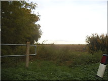 TL2745 : Field by Potton Road, Guilden Morden by David Howard