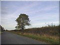 TL2741 : Ashwell Road towards Guilden Morden by David Howard