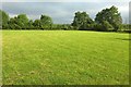 Grass field, Great Comberton