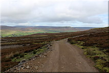 SD9895 : Another Track on Whitaside Moor by Chris Heaton