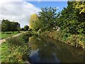 Stroudwater Canal