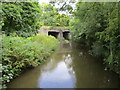 SE4380 : Cod  Beck  and  the  A168  road  bridge by Martin Dawes