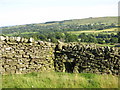 Sheep hole in dry stone wall above Stanhope Gate