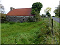 Ruined cottage, Killen (rear view)