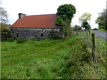 H3175 : Ruined cottage, Killen (rear view) by Kenneth  Allen