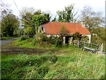 H3175 : Ruined cottage, Killen by Kenneth  Allen