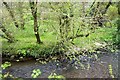 East Looe River