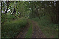 Hertfordshire Way looking south from Ayot Greenway