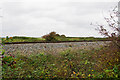 Railway by the Severn Way