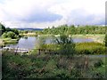 Banwen Pond