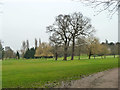 Course, Hendon Golf Club