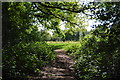 Footpath off Reynolds Lane